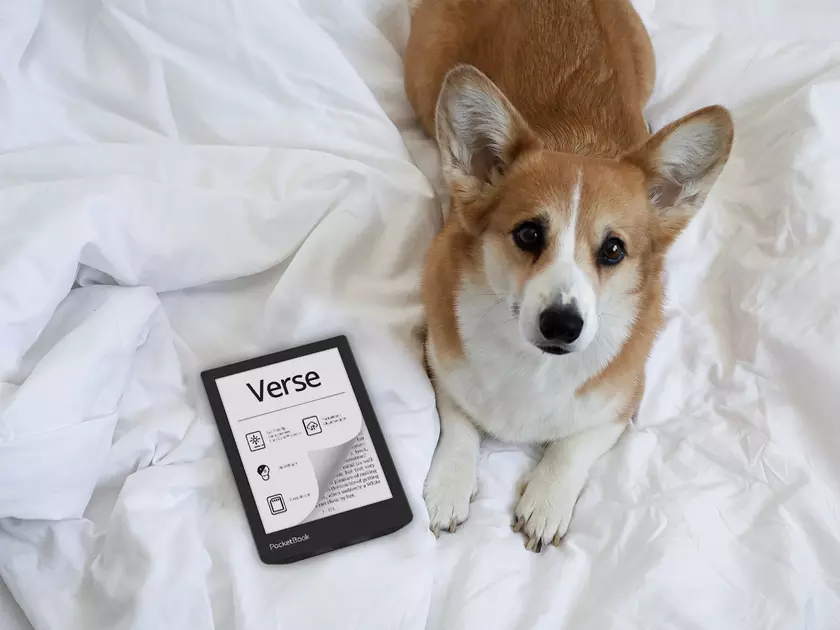 PocketBook Verse: 6-дюймовий дисплей E Ink Carta, слот для карти пам’яті та підсвічування SMARTlight