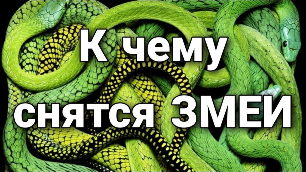 К Чему Снится Змея: Толкование, Символика и Значение Сновидений