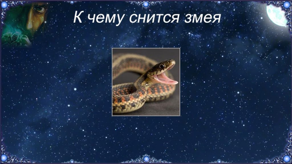 К Чему Снится Змея: Толкование, Символика и Значение Сновидений
