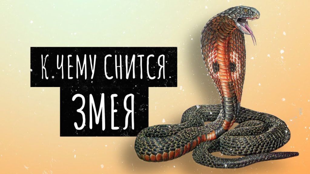 К Чему Снится Змея: Толкование, Символика и Значение Сновидений