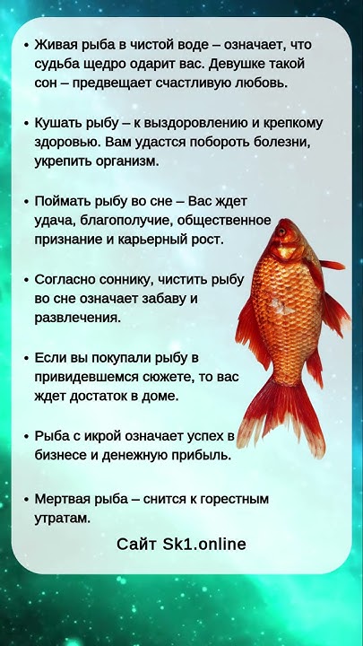 К Чему Снится Рыба: значение сна и интерпретации