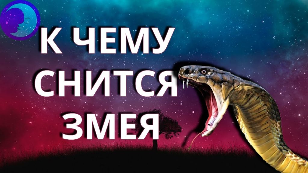 К Чему Снится Змея: Толкование, Символика и Значение Сновидений