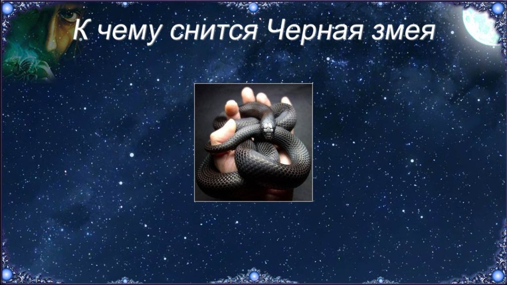 К Чему Снится Змея: Толкование, Символика и Значение Сновидений