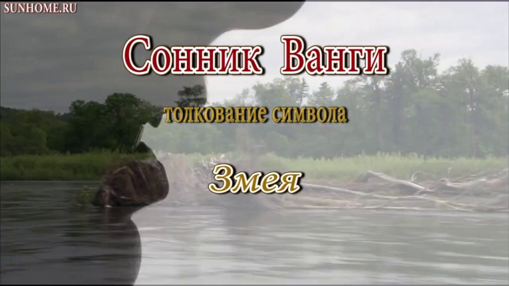 К Чему Снится Змея: Толкование, Символика и Значение Сновидений